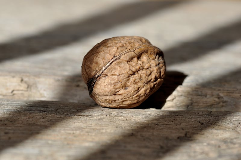 Mixed Nuts and Seeds